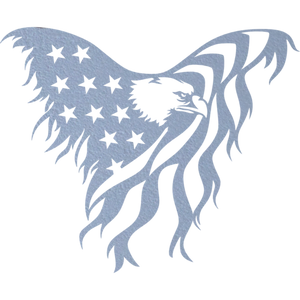 American Eagle - Metal Wall Art